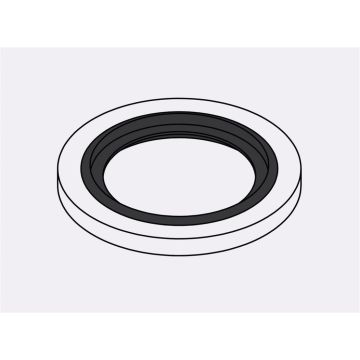 DS-BSP-02 - 02BSPP BONDED SEAL