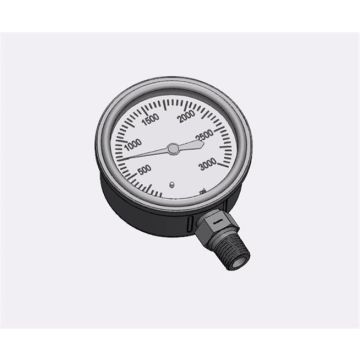 PGL-LM25-MP4-00100-SS - 2.5 DIAL GAGE 100 PSI